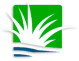WG Turf Services